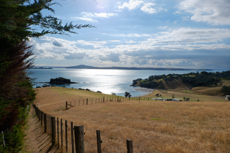 Illustration for article titled Waiheke Island